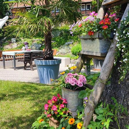 Apartment Im Gruenen Mit Anbindung Ans Zentrum Erfurt Dış mekan fotoğraf