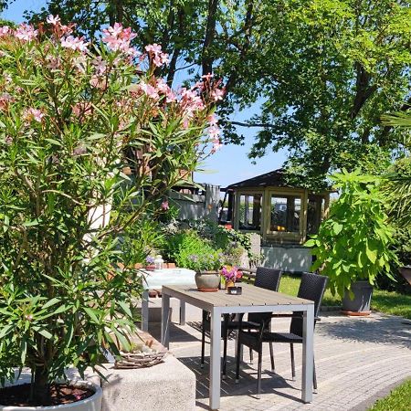 Apartment Im Gruenen Mit Anbindung Ans Zentrum Erfurt Dış mekan fotoğraf