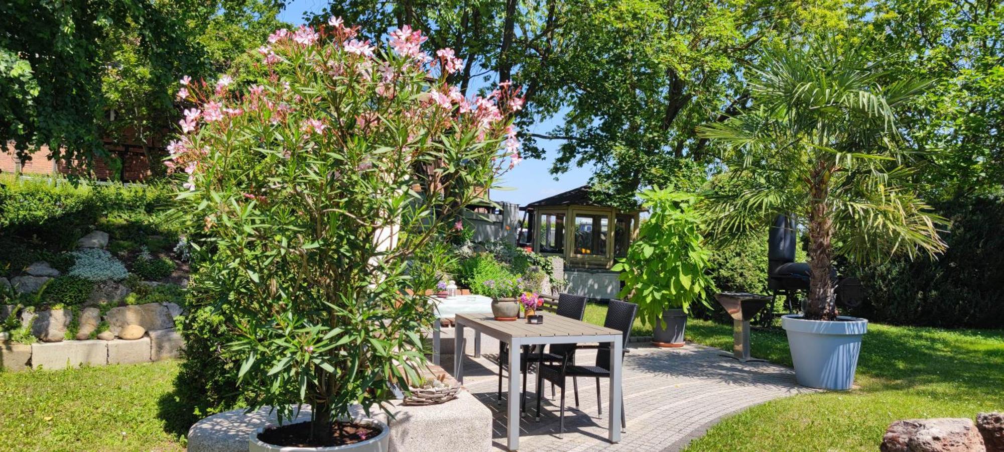 Apartment Im Gruenen Mit Anbindung Ans Zentrum Erfurt Dış mekan fotoğraf